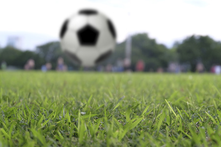 Soccer ball on the green grass of Soccer field.の写真素材