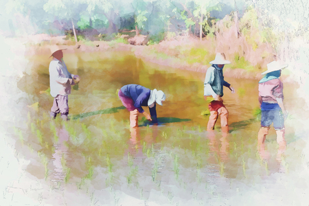 Digital painting farmers planting rice on rice fieldsの写真素材