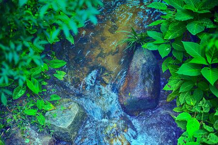 Near the stream and scrubの写真素材