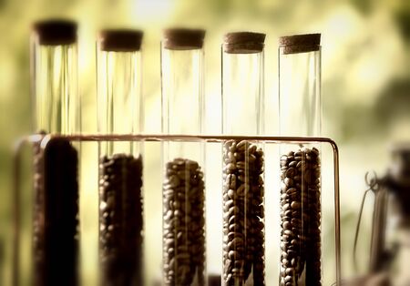 Vintage style Coffee beans in glass tubesの写真素材