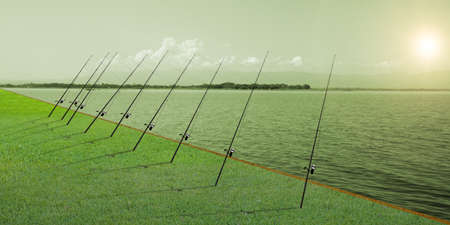 Illustration of A row of fishing rods by the lake at sunshine