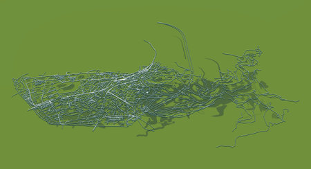 Bregenz City in Austria street road map,vector outline illustration image