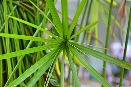 glassの写真素材