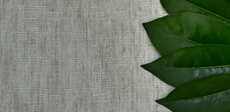 Green groundの写真素材