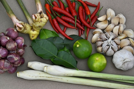 Thai herbの写真素材
