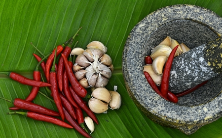 cookingの写真素材