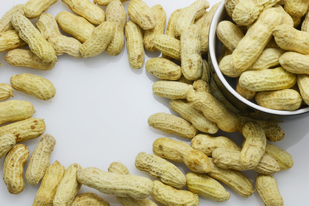 nut