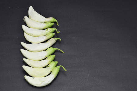 humming bird flowerの写真素材