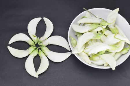 humming bird flowerの写真素材