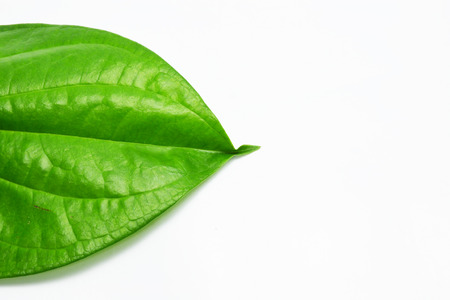 betel