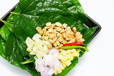 herb wrapped in leavesの写真素材