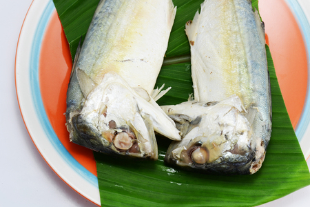 tuna for cookingの写真素材