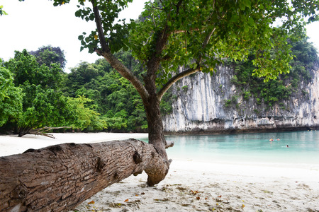 white sand beachの写真素材
