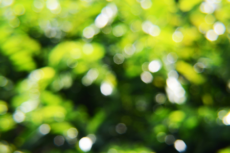 blur background and lightの写真素材