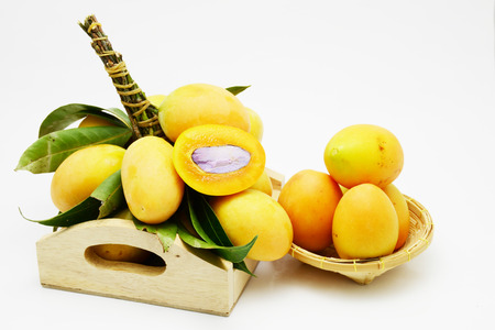 monkey apples and yellow fruitの写真素材