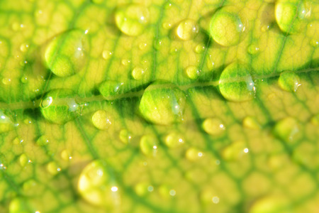 water bokeh blur background