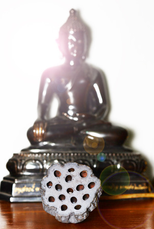 bundle of dried lotusの写真素材