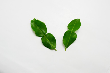 kaffirの写真素材