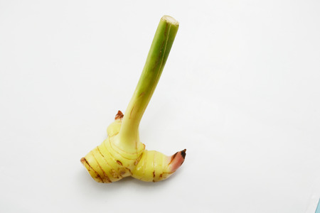 galangal