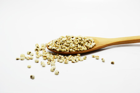 millet in wooden spoonの写真素材