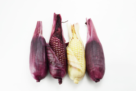 corn, nature corn, baby cornの写真素材