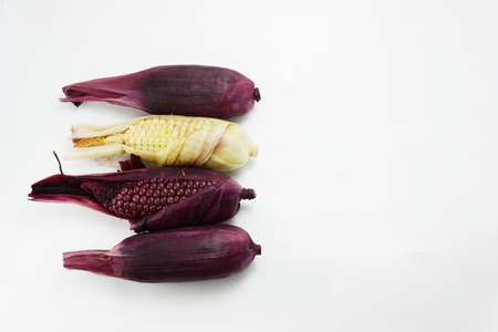 corn, nature corn, baby corn