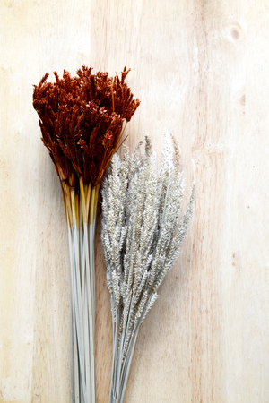 bundles of dried grass on woodの写真素材