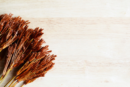 bundles of dried grass on woodの写真素材