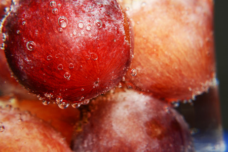 soda bubble and grape fruitの写真素材