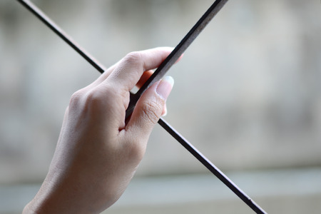 lady handの写真素材