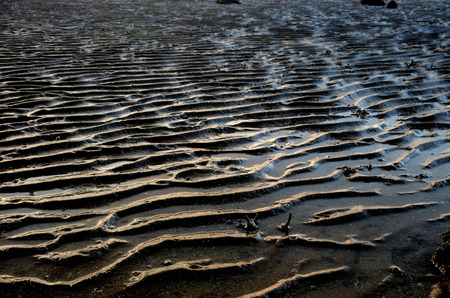 sand wave sunriseの写真素材