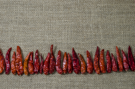 spice herb garlic and dry chiliの写真素材