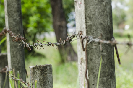 barbed wireの写真素材