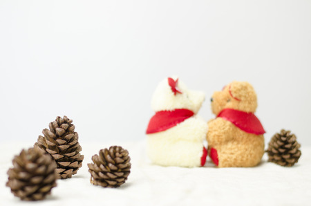 pine cones and bearの写真素材