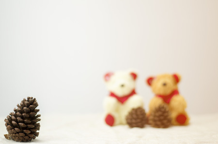 pine cones and bearの写真素材