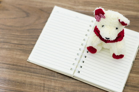 bear and notebook on tableの写真素材