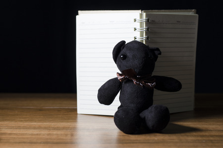 bear and notebook on tableの写真素材
