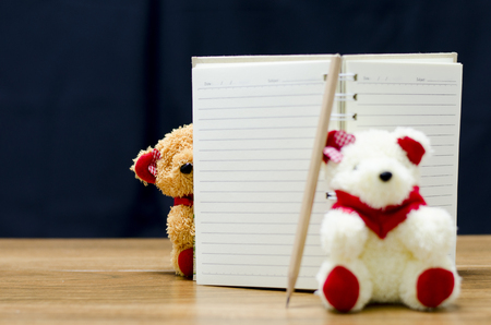 bear and notebook on tableの写真素材