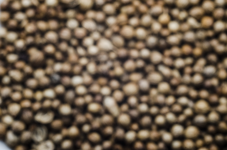 coriander seed a background