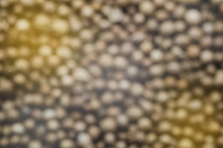 coriander seed a backgroundの写真素材