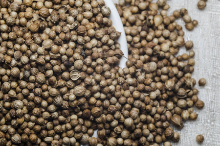 coriander seed for cookの写真素材