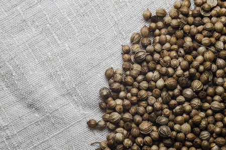 coriander seeds for cookingの写真素材