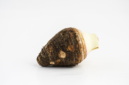 taro in isolatedの写真素材