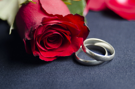 red rose and maried ringの写真素材