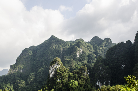 Green forest in Thailandの写真素材