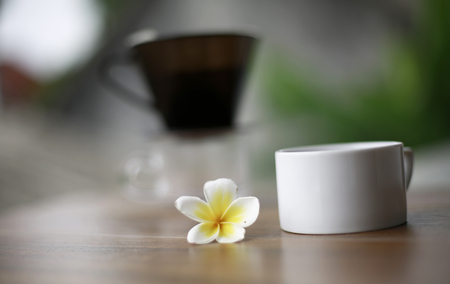 coffee dripper and aroma flowerの写真素材