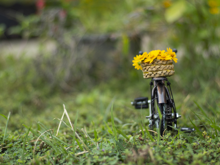 bicycle toy with yellow daisy decorate in gardenの写真素材