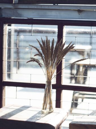 coffee shop decorate by grassの写真素材