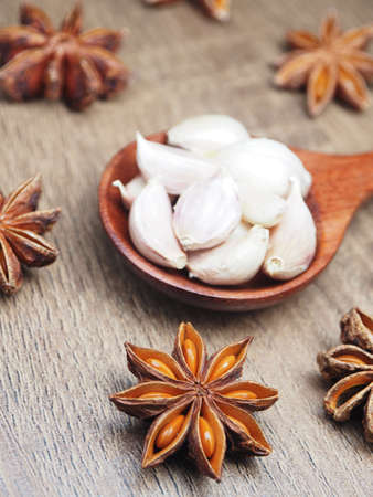 stewed recipe and herb for stewedの写真素材