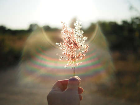 seewt sunset liht with grass on sidewalk for great holidayの写真素材